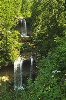 Uncultivated Prints: Scheidegg Waterfalls Nature Park, Scheidegg, Bavaria, Germany, Europe