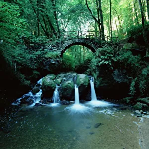 Rural Location Prints: Schiessentumpel in the Mullerthal
