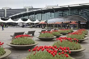 Images Dated 8th May 2010: Schiphol Airport, Amsterdam, Netherlands, Europe
