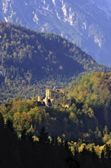 Hohenschwangau Prints: Schloss Hohenschwangau