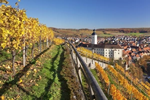 Schloss Horneck Palace on the Neckar River, Gundelsheim, Baden-Wurttemberg, Germany
