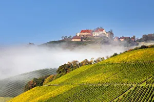 Black Forest Prints: Schloss Staufenberg Castle, Durbach, Black Forest, Baden-Wurttemberg, Germany, Europe
