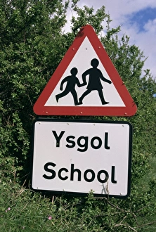 Road Sign Prints: School sign in English and Welsh languages