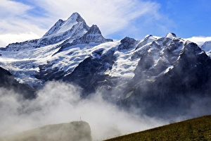 Grindelwald Prints: Schreckhorn, Grindelwald, Bernese Oberland, Canton of Bern, Switzerland, Europe