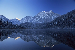 Fuessen Prints: Schwansee in winter