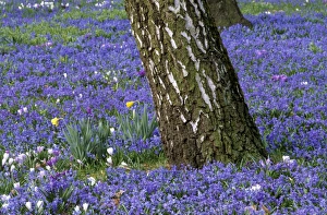 Images Dated 2004 March: 27 Mar 2004