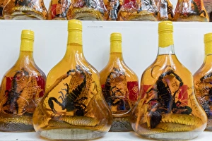 Retail Prints: Scorpion and snake brandy for sale in Vietnam, Hanoi, Vietnam, Indochina, Southeast Asia