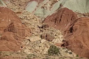 Scree field on the side of a sandstone butte, Capitol Reef National Park, Utah, United States of America, North America
