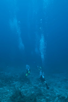 Under Water Prints: Scuba divers underwater, Thailand, Andaman Sea, Indian Ocean, Asia