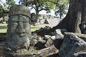 Images Dated 4th December 2010: Sculpted head stone at Mayan archeological site, Copan Ruins, UNESCO World Heritage Site
