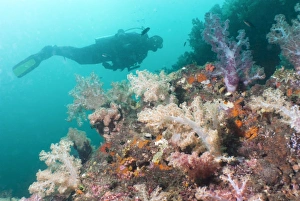 Under Water Prints: Scunba diver and reef, Southern Thailand, Thailand, Andaman Sea, Indian Ocean, Asia