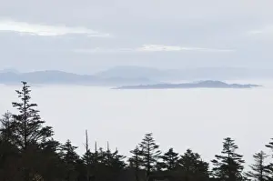 Sichuan Province Prints: Sea of clouds at Mount Emei Shan, Mount Emei Scenic Area, UNESCO World Heritage Site