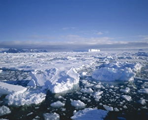 Sea Ice Prints: Sea ice and iceberg, Antarctica, Polar Regions