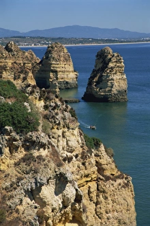 Coastal Feature Prints: Sea stacks