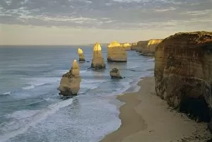 Sea Stack Gallery: Sea stacks on the coast, The Twelve Apostles, Great Ocean Road, Victoria, Australia