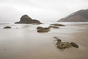 Coastal Features Prints: Sea stacks on a foggy morning