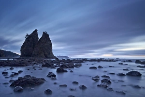 Sea Stacks Prints: Sea stacks and rocks, Rialto Beach