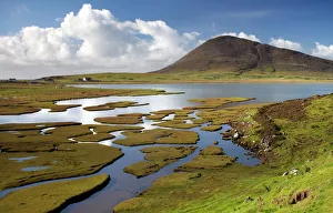 Sea Turf at Northton, near Leverburgh, Isle of Harris, Outer Hebrides, Scotland, United Kingdom, Europe
