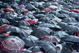 Raining Prints: Sea of umbrellas, Shanghai, China, Asia