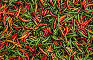 Images Dated 20th April 2010: Seafood chili are exposed in the streets of Darjeeling, this drug assim with other