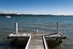 Images Dated 6th June 2009: Seagulls on the dock, Lake Macquarie, New South Wales, Australia, Pacific
