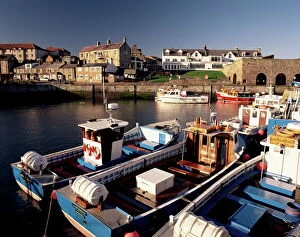 Traveling Collection: Seahouses, Northumberland, England, United Kingdom, Europe