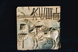 Karachi Museum Prints: Seal from Mohenjodaro