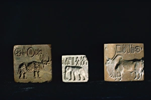 Seals from Mohenjodaro
