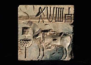 Indus Prints: Seals from Mohenjodaro