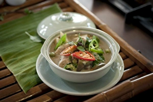 Four Seasons Resort, Chiang Mai, Chiang Mai Province, Thailand, Southeast Asia, Asia