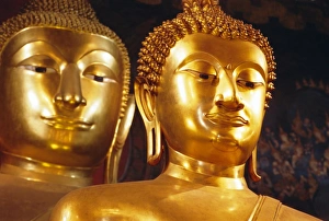 Seated Buddhas