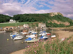 Images Dated 28th July 2008: Seaton, Devon, England, United Kingdom, Europe