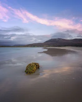Seaweed Prints: Seaweed washed up onto the beach at sunrise