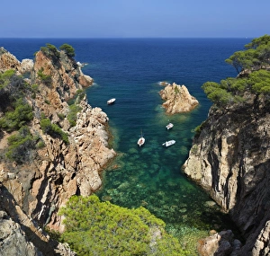 Costa Brava Prints: Secluded cove, Aiguaxelida, near Palafrugell