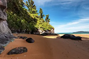 Cove Prints: Secluded Sandy Cove Surrounded by Rocky Cliffs and Native Forest