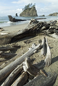 Washington Prints: Second Beach