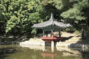 Images Dated 7th October 2009: Secret Garden, Changdeokgung Palace (Palace of Illustrious Virtue), UNESCO World Heritage Site