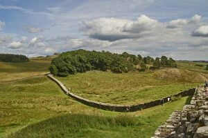 Housesteads Fort Collection: A section of Hadrians Wall at Housesteads Fort, Bardon Mill, UNESCO World Heritage Site