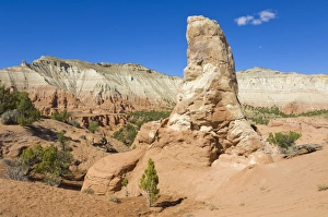 A sedimentary Pipe, Angels Palace trail, Kodachrome Basin State Park