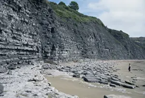 L Imestone Prints: Sedimentary rocks, blue lias, shale-limestone sequences, Lyme Regis, Jurassic coast