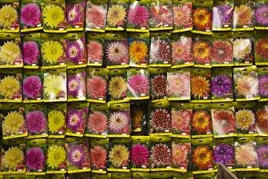 Images Dated 7th April 2008: Seed packets, Bloemenmarkt (flower market), Amsterdam, Netherlands, Europe