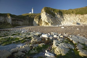 Images Dated 29th January 2000: Selwick Bay, Flamborough, East Yorkshire, England, United Kingdom, Europe