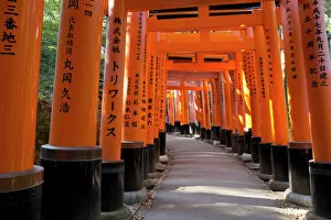 Pillar Collection: Senbon Torii (1, 000 Torii gates), Fushimi Inari Taisha shrine, Kyoto, Japan, Asia