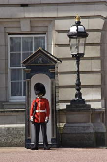 Sentry Prints: Sentry duty at Buckingham Palace, London, England, United Kingdom, Europe