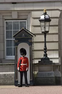 Sentry duty at Buckingham Palace, London, England, United Kingdom, Europe