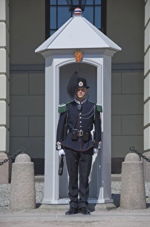 Sentries Prints: Sentry duty at the Royal Palace, Oslo, Norway, Scandinavia, Europe