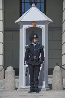 Images Dated 6th June 2010: Sentry duty at the Royal Palace, Oslo, Norway, Scandinavia, Europe