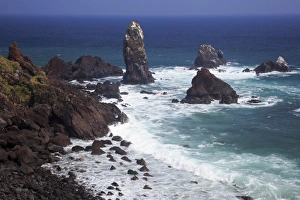 Jeju Island Prints: Seopjikoji Cape, Jeju Island, South Korea, Asia
