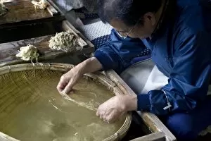 Images Dated 26th April 2009: Separating mulberry fibers for making Japanese washi paper at the Echizen Washi No Sato village in
