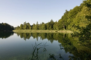 Images Dated 14th August 2008: The serene Upper Plitvice Lakes National Park, UNESCO World Heritage Site